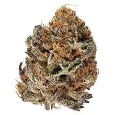 Liquid Imagination 28g Dried Flower
